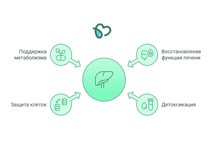 Действие Гептрала (инфографика)