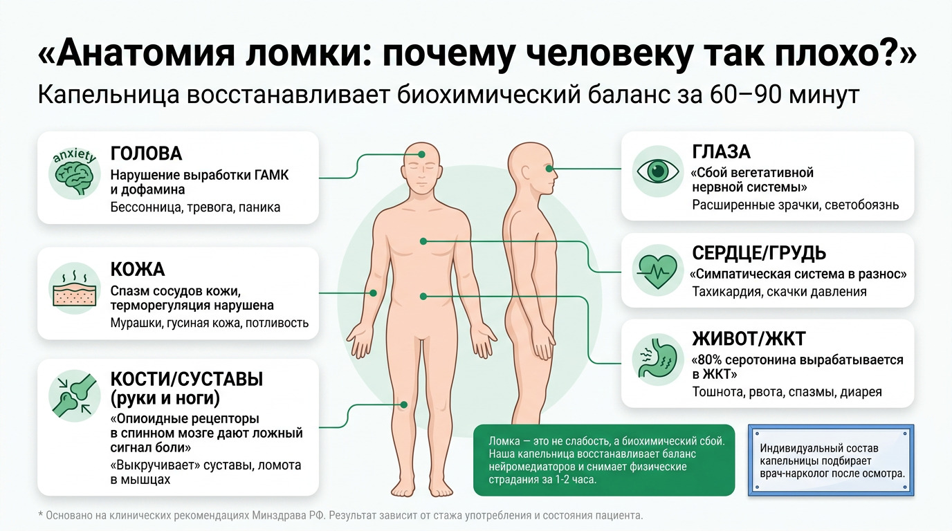 Инфографика: анатомия наркотической ломки - почему возникает боль в костях, тревога, тошнота и тахикардия. Пояснение физиологии абстинентного синдрома и как капельница помогает восстановить баланс за 60-90 минут.